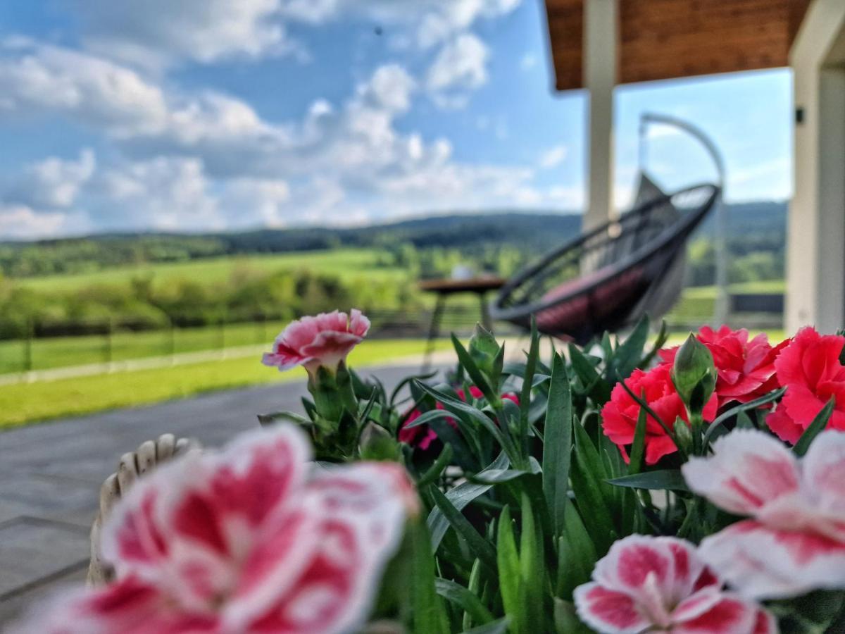 Lackowa Chill And Rest Dom Z Balia Krynica Zdroj Uscie Gorlickie Extérieur photo